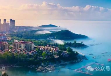 冬日寡淡？NO！看，东山岛的缤纷藏不住啦！